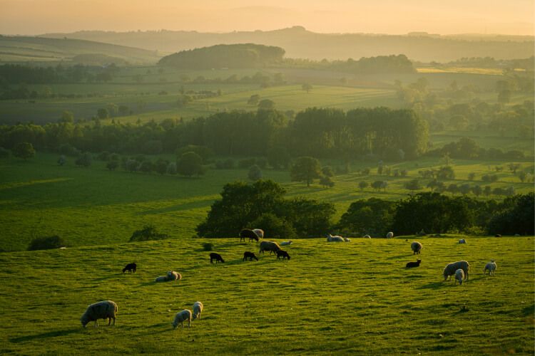 the english countryside at sunrise 