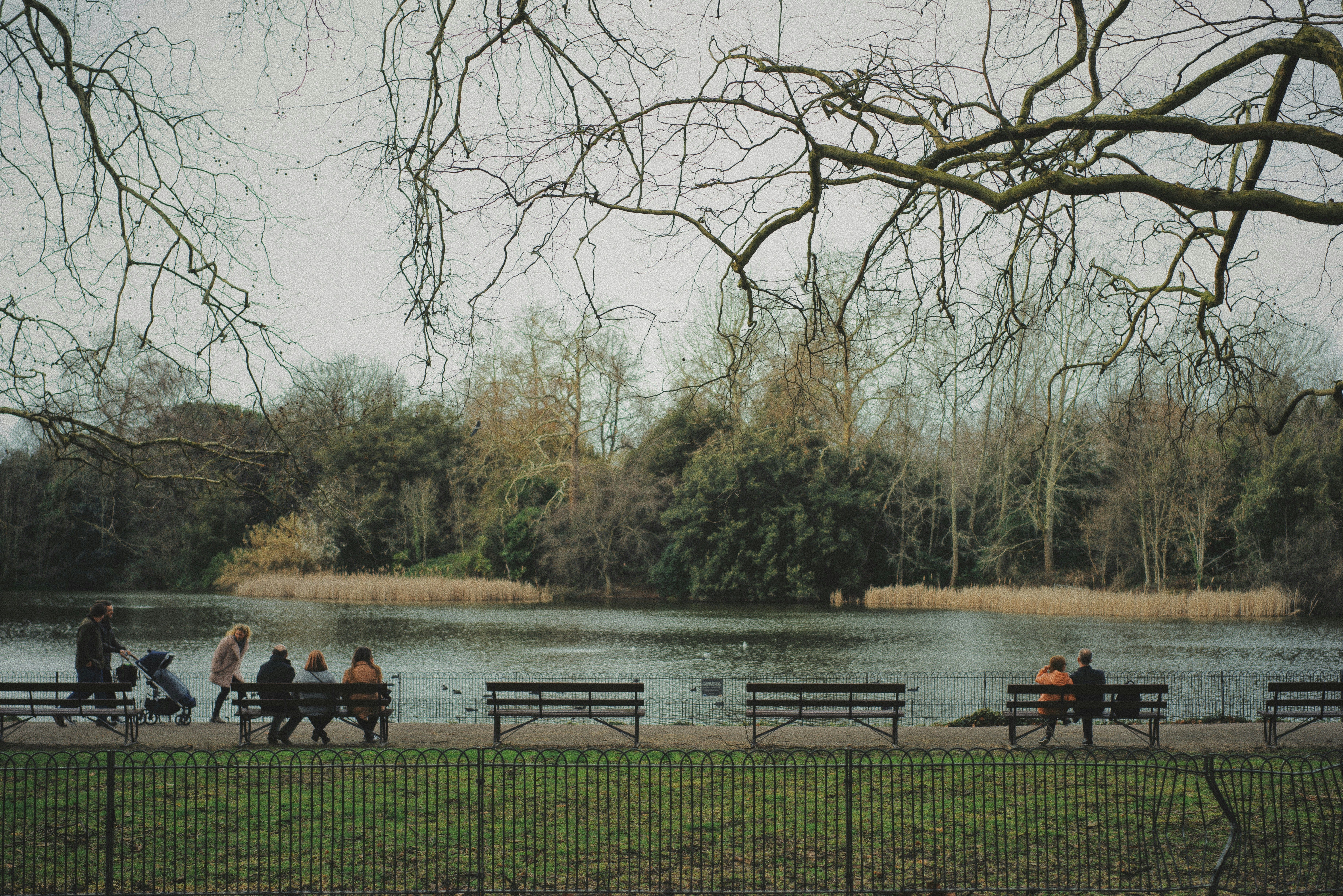 wen-chen-yr01nqCUIfM-unsplash.jpg